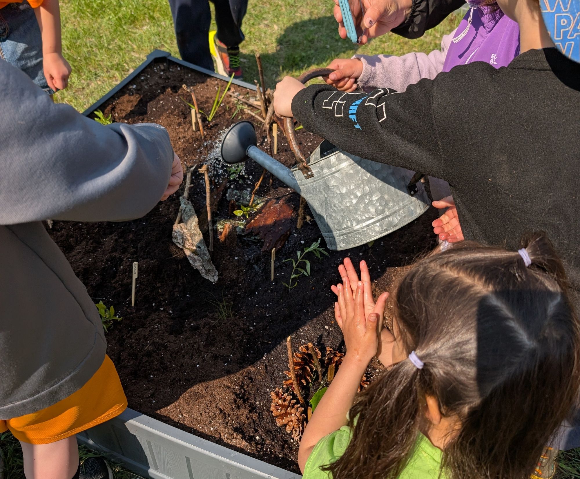 Photo — Creating a Butterflyway stop and native pollinator habitat gardens at an elementary school