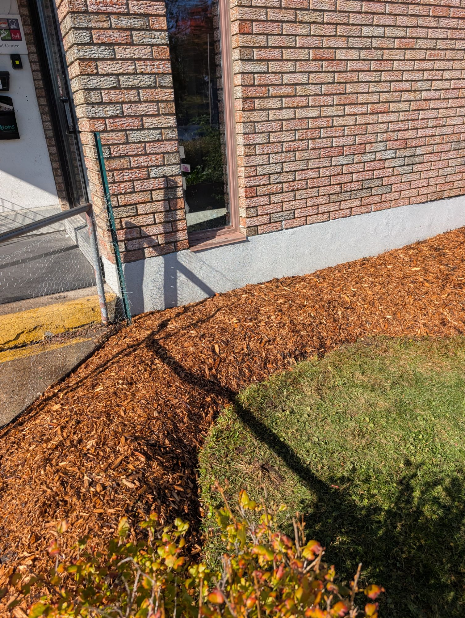 Finished, prepped garden bed, prior to planting