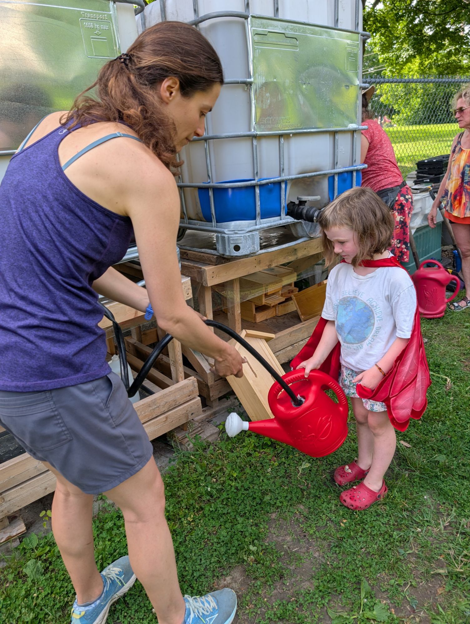 Photo — Everything you ever wanted to know about the Butterflyway Aylmer (2025 edition)