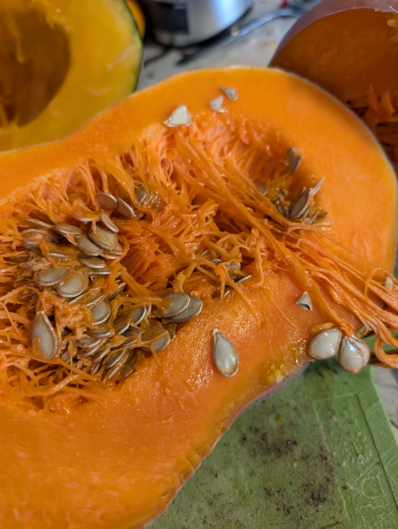 Seed collection in progress - expect to find these at the squash seed table, among many others