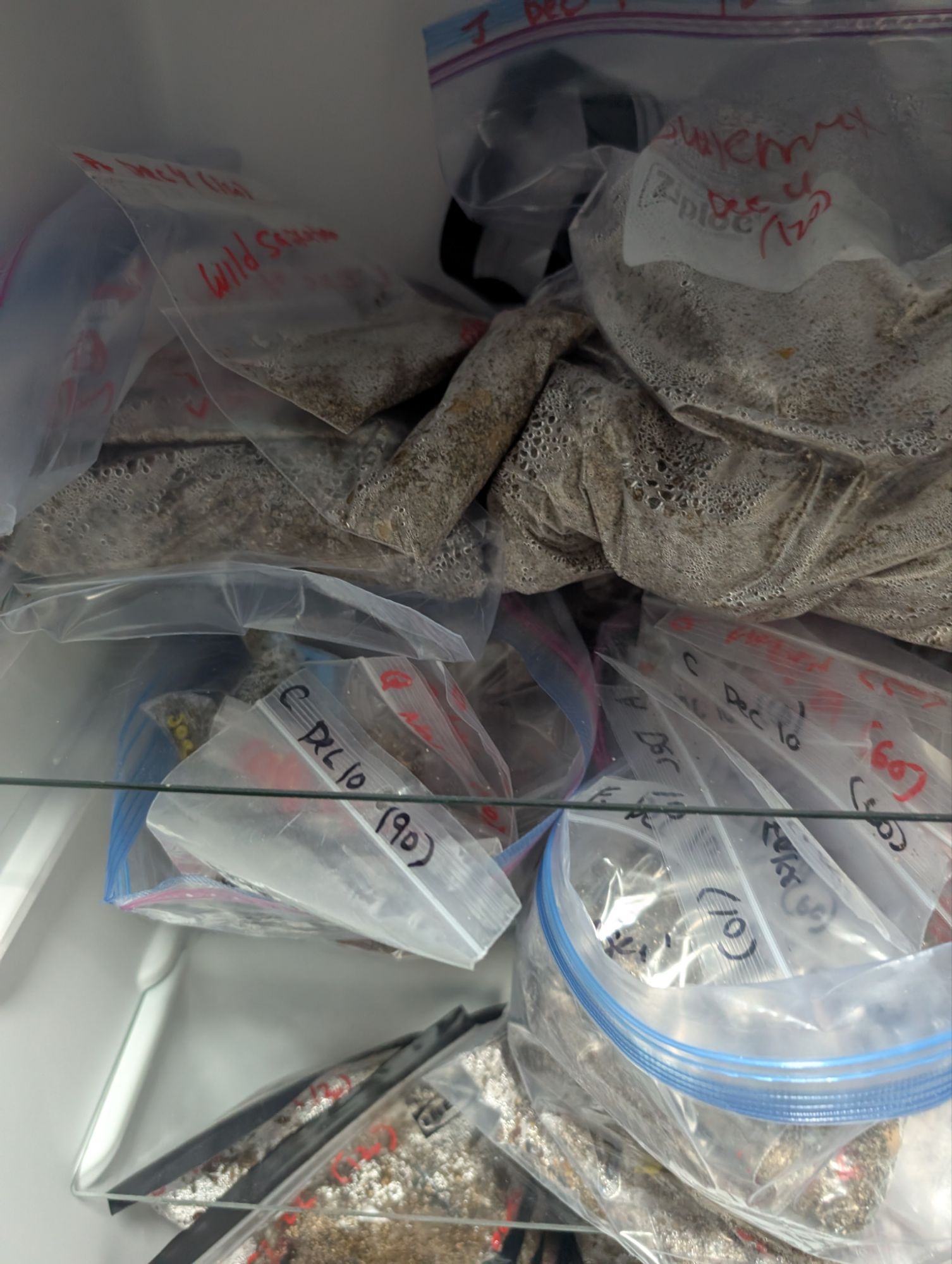 You wouldnt know it but there are over 100 different species of tree, shrub and spring ephemeral seeds packed in these sort-of organized bags