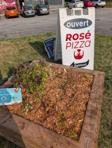 Rose Pizza