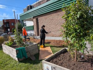 Centre Alimentaire Aylmer