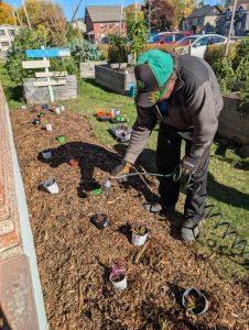 Centre Alimentaire Aylmer