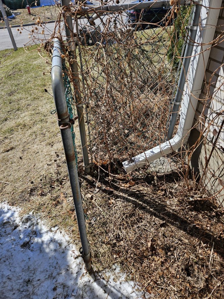 Raingarden Revelation #1 – Rome wasn’t built in a Day
