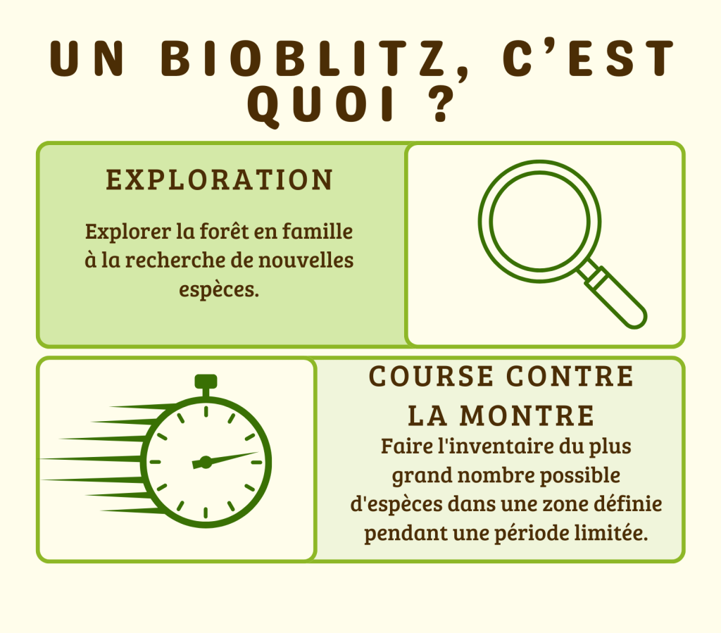 Bioblitz