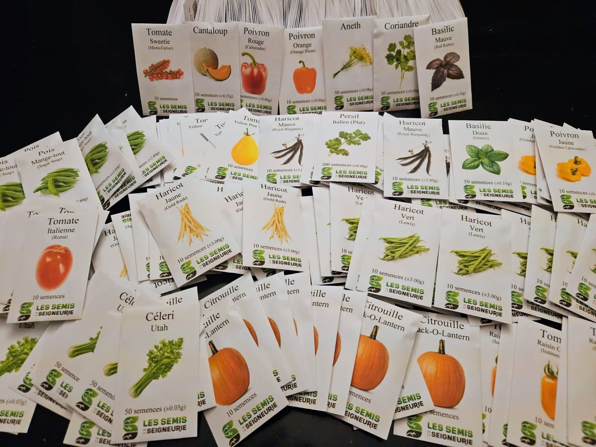 Seedy Saturday Aylmer: Help Wanted!