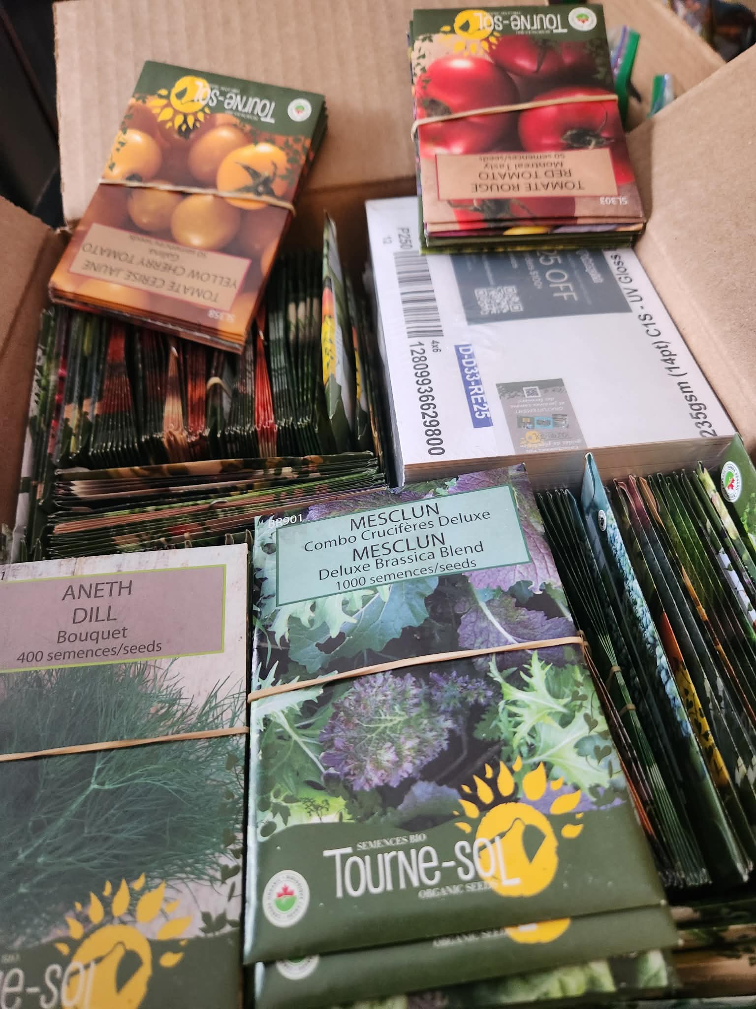 Seedy Saturday Aylmer