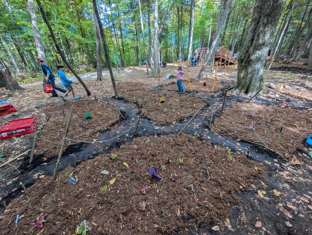 Rivaliser avec les tyroliennes : notre tout premier jardin de pollinisateurs à la Forêt Boucher